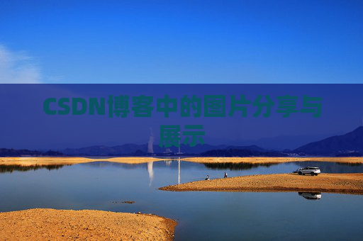 CSDN博客中的图片分享与展示